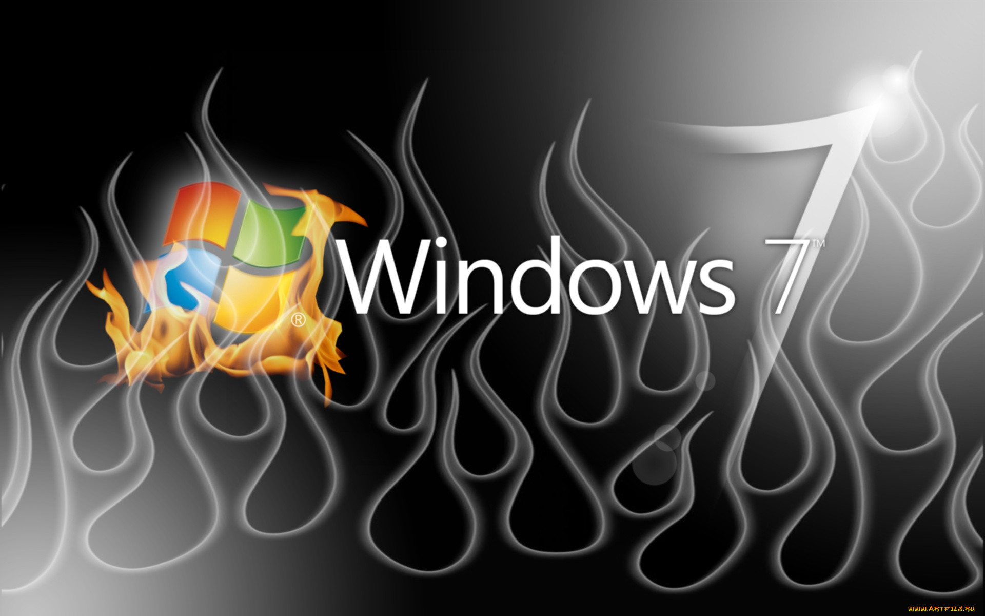 , windows, vienna, , 